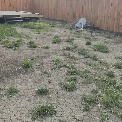 Cracked clay ground in a south facing yard.